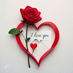 Love, Beyond the Red Roses